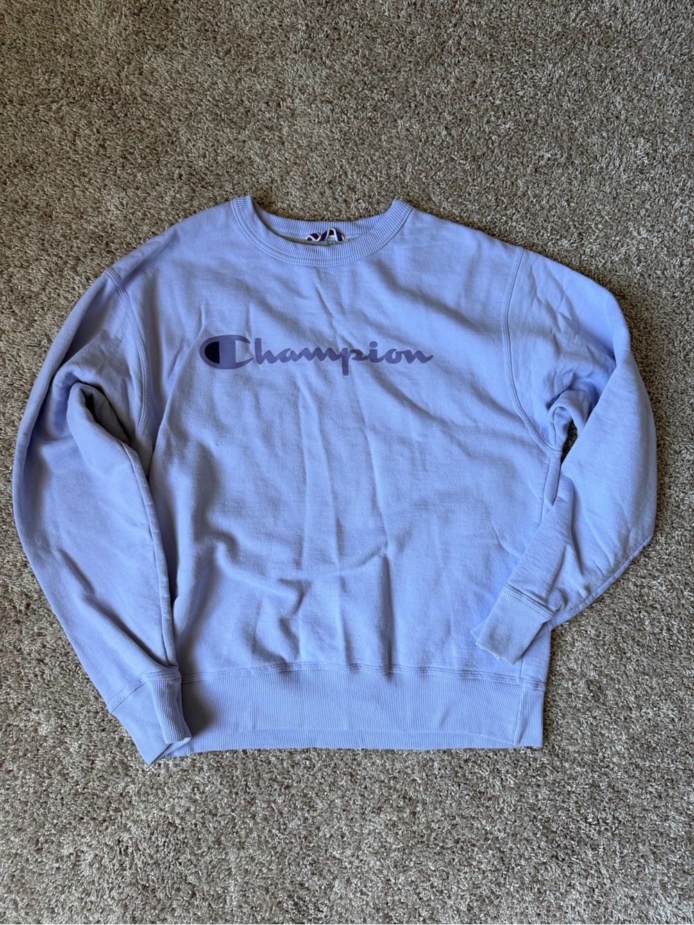 Champion Lavender Crewneck Sweatshirt
